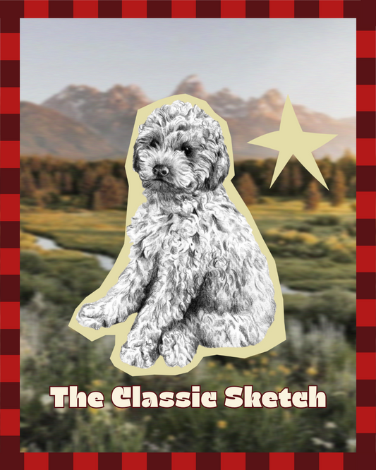 The Classic Sketch Package