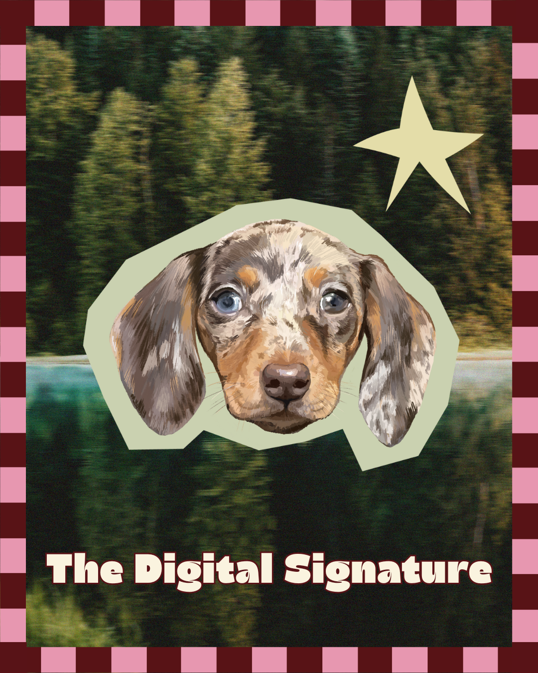 The Digital Signature Package 