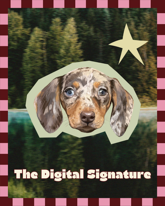 The Digital Signature Package 