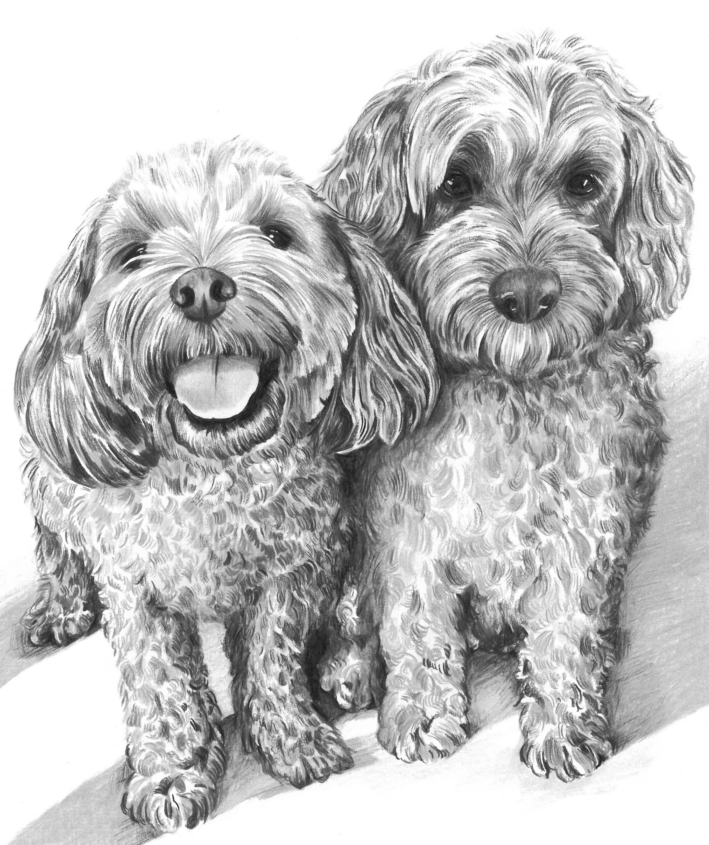 The Classic Sketch Package