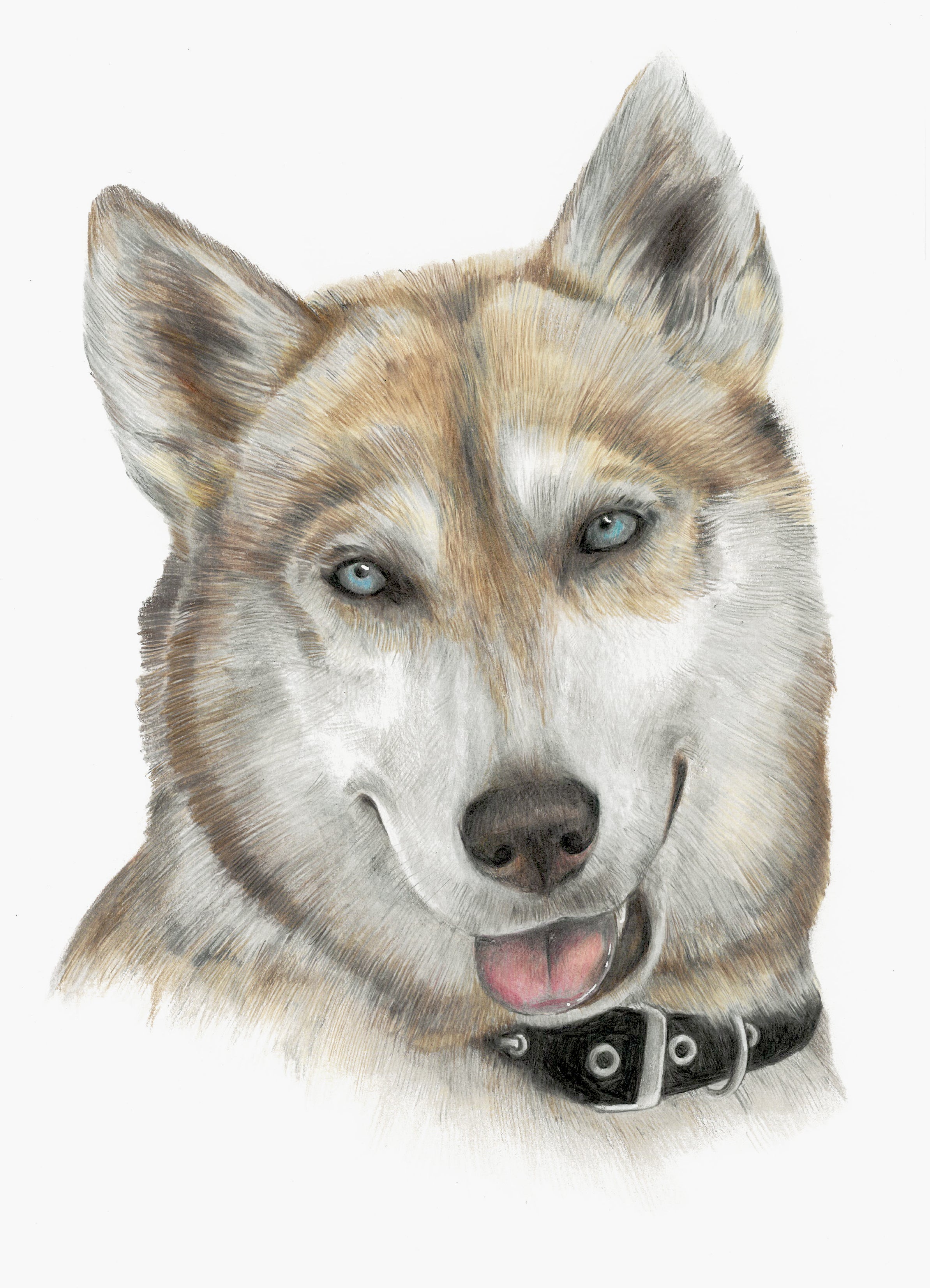 The Colour Keepsake Package 