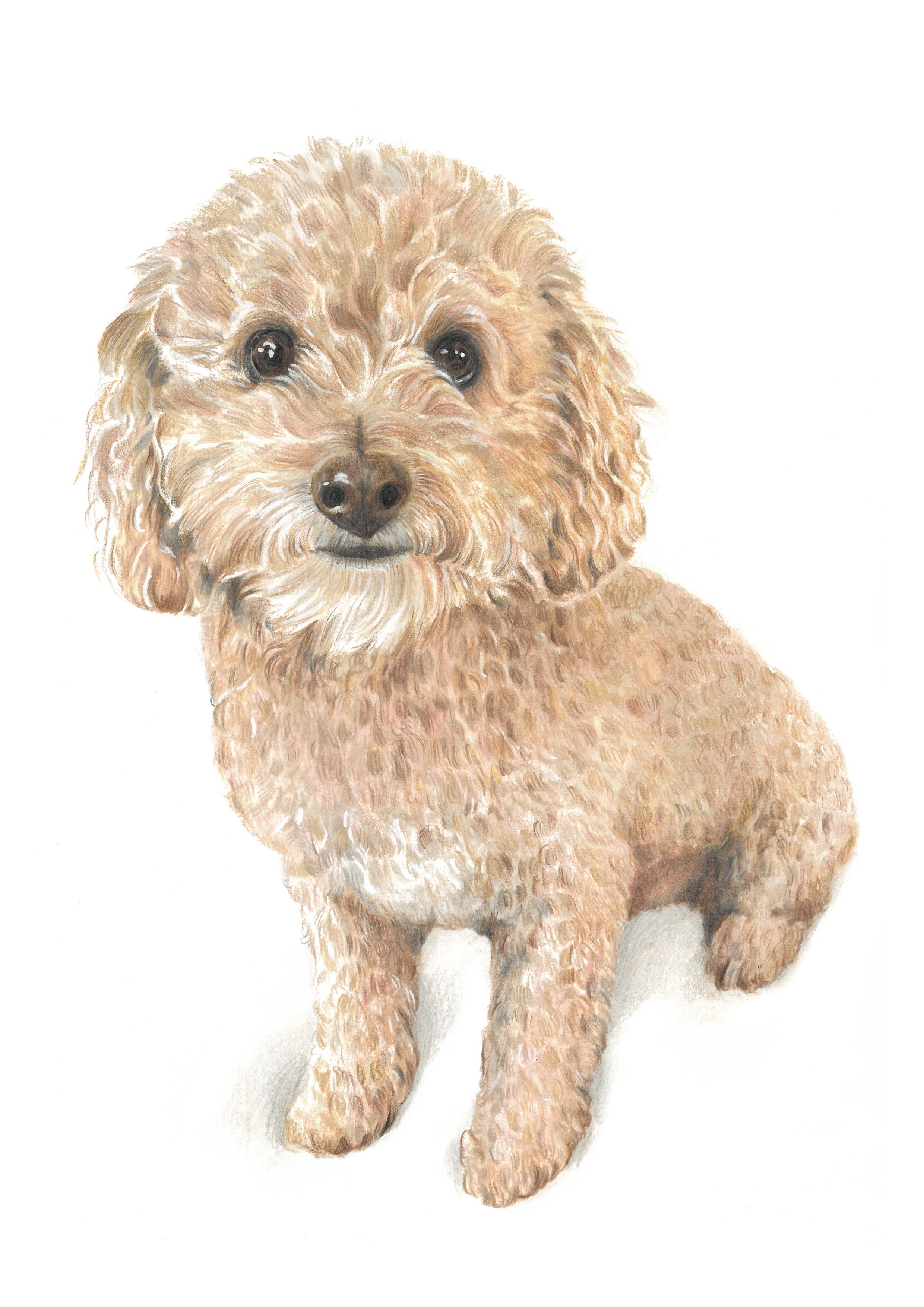 The Colour Keepsake Package 