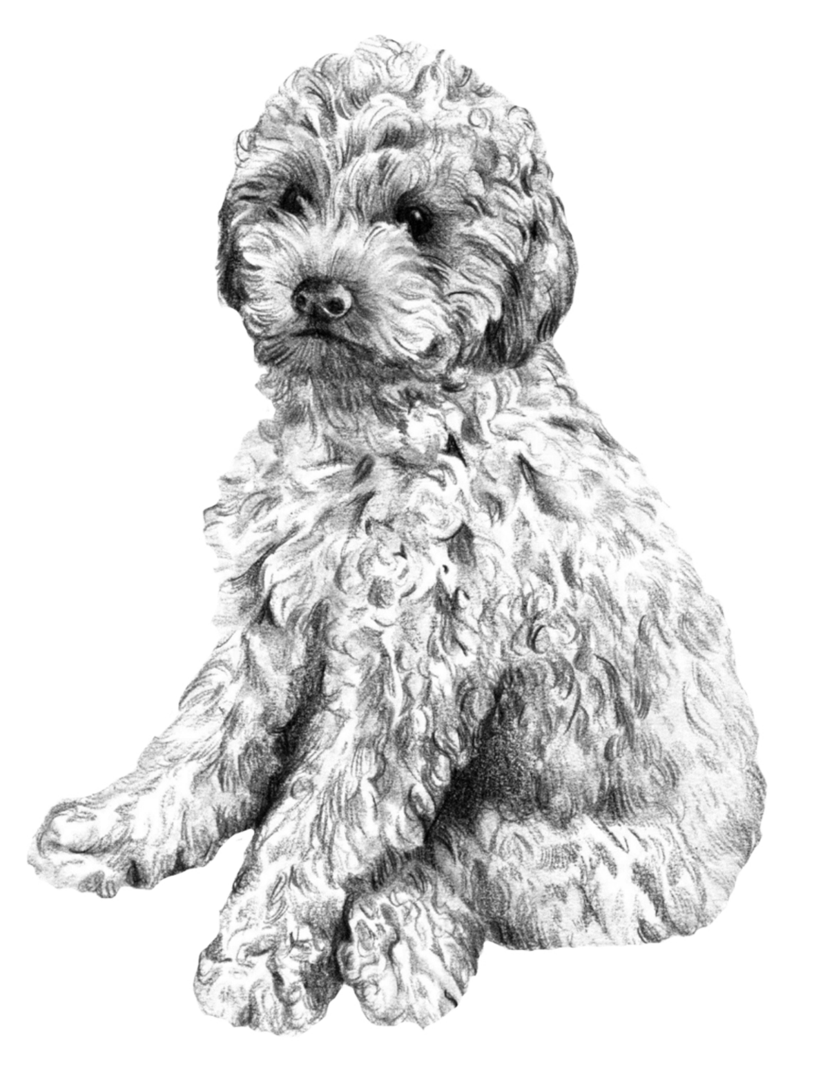The Classic Sketch Package