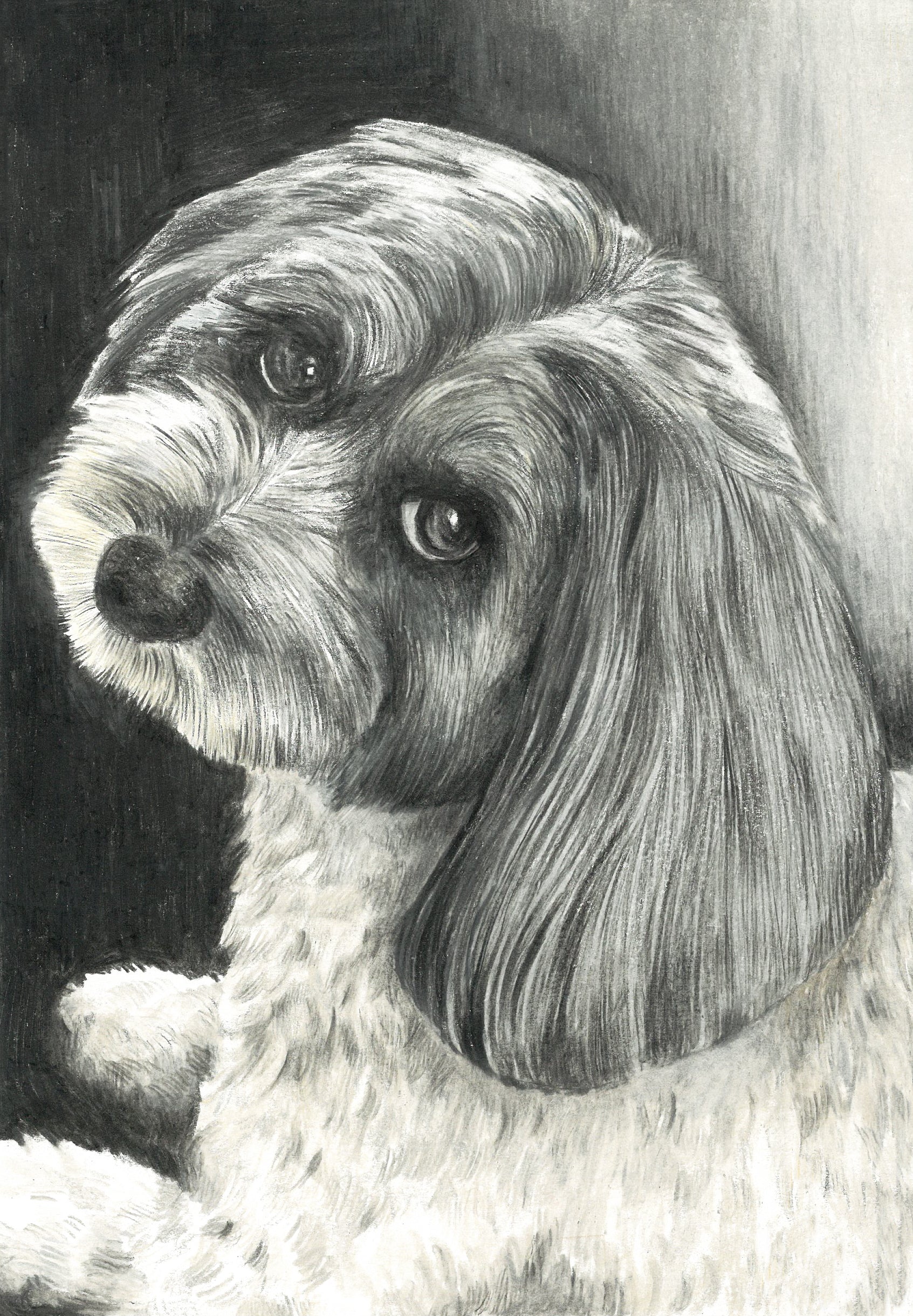 The Classic Sketch Package