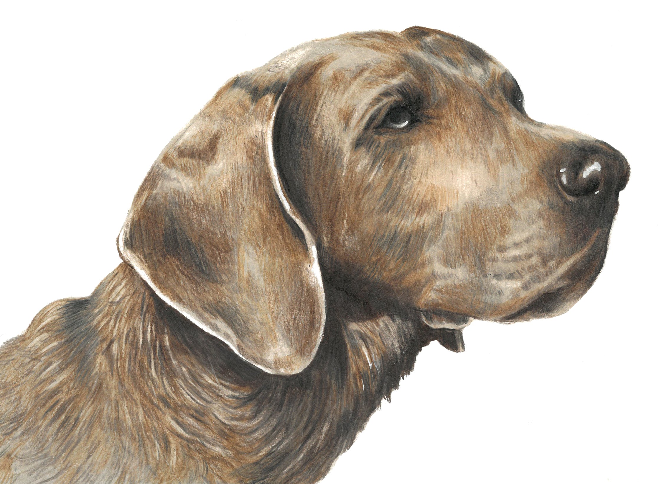 The Colour Keepsake Package 