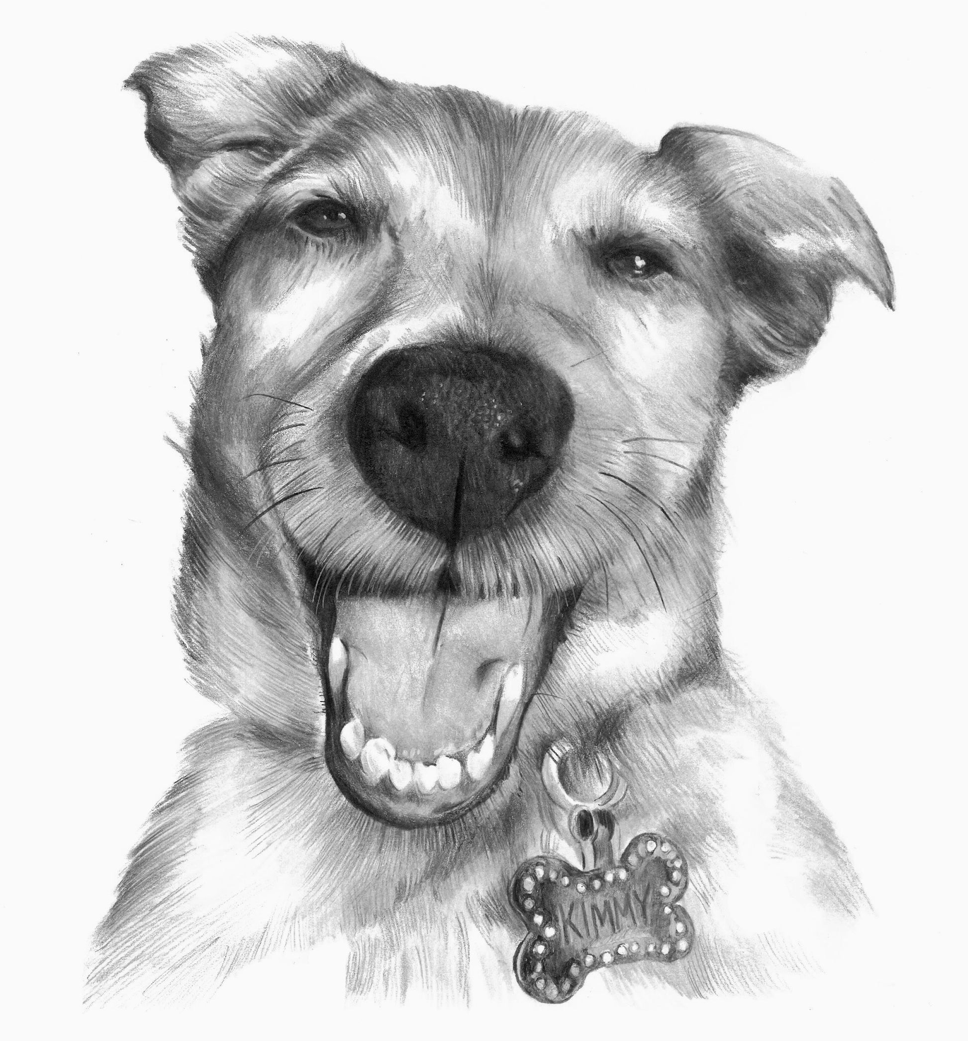 The Classic Sketch Package